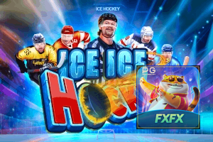 FXFX BET feedback — categorias de sugestão e melhoria no app